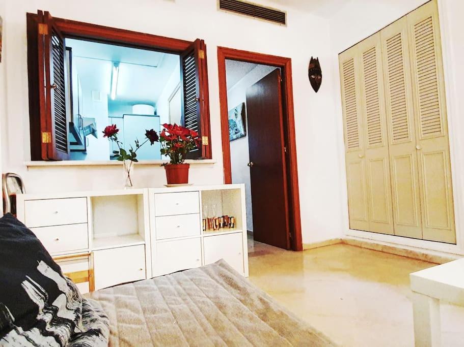 Апартаменти Loft Moderno Centro Historico/Wifi Севілья Екстер'єр фото